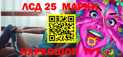 шишки Абакан