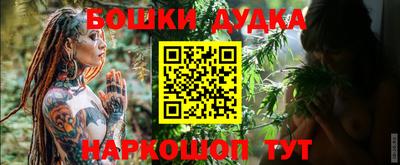 шишки Абакан