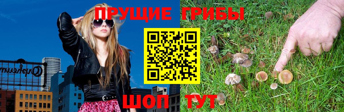 Асбест  Галлюциногенные грибы MAGIC MUSHROOMS  Вход с VPN  Псилоцибиновые грибы прущие грибы 