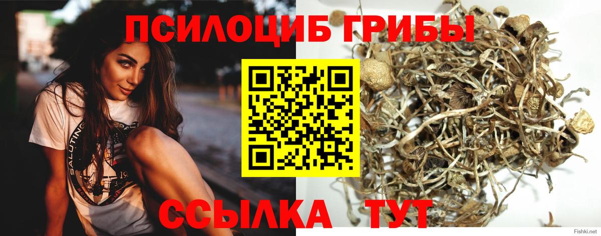 ГАШ Асбест